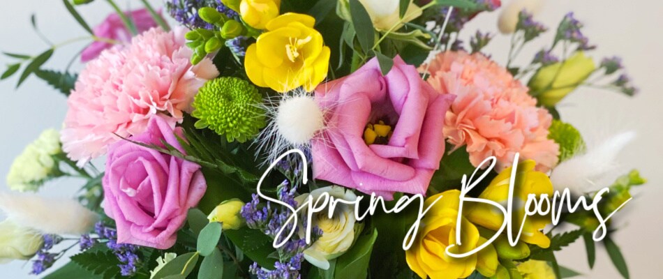 Spring Blooms